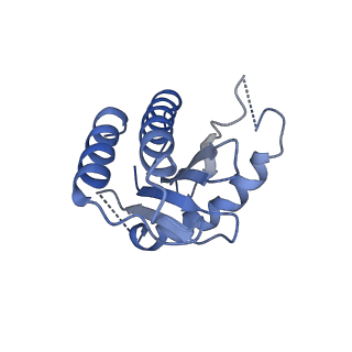 22928_7kmt_K_v1-1
Structure of the yeast TRAPPIII-Ypt1(Rab1) complex