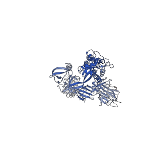 22932_7kmz_A_v1-4
Cryo-EM structure of double ACE2-bound SARS-CoV-2 trimer Spike at pH 7.4