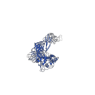 22932_7kmz_B_v1-4
Cryo-EM structure of double ACE2-bound SARS-CoV-2 trimer Spike at pH 7.4