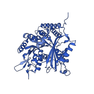 8266_5kmg_A_v1-4
Near-atomic cryo-EM structure of PRC1 bound to the microtubule