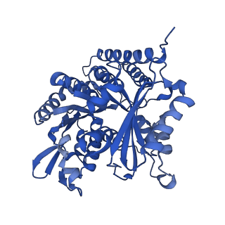8266_5kmg_B_v1-4
Near-atomic cryo-EM structure of PRC1 bound to the microtubule