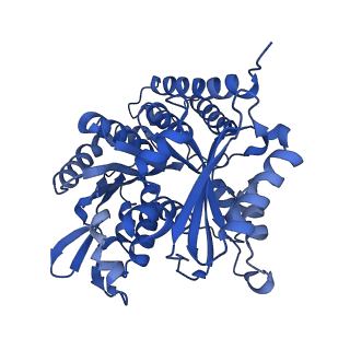 8266_5kmg_B_v1-5
Near-atomic cryo-EM structure of PRC1 bound to the microtubule