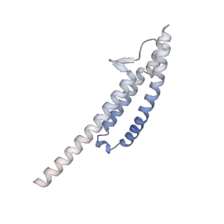 8266_5kmg_P_v1-4
Near-atomic cryo-EM structure of PRC1 bound to the microtubule