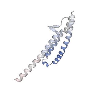 8266_5kmg_P_v1-5
Near-atomic cryo-EM structure of PRC1 bound to the microtubule