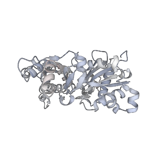0729_6kn8_A_v1-1
Structure of human cardiac thin filament in the calcium bound state