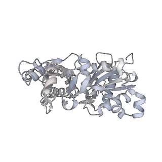 0729_6kn8_A_v1-2
Structure of human cardiac thin filament in the calcium bound state