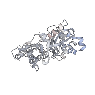 0729_6kn8_C_v1-2
Structure of human cardiac thin filament in the calcium bound state