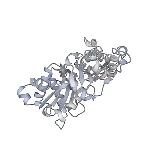 0729_6kn8_D_v1-1
Structure of human cardiac thin filament in the calcium bound state