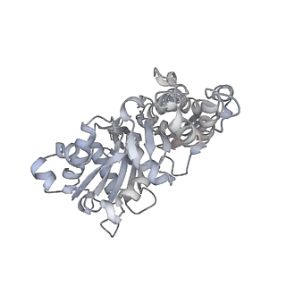 0729_6kn8_D_v1-2
Structure of human cardiac thin filament in the calcium bound state