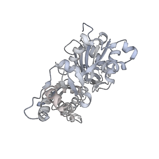0729_6kn8_E_v1-1
Structure of human cardiac thin filament in the calcium bound state