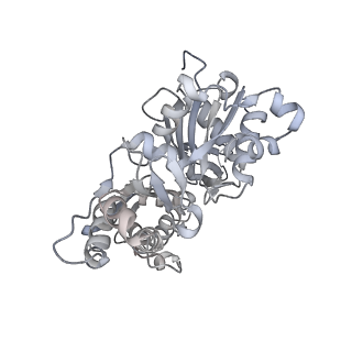 0729_6kn8_E_v1-2
Structure of human cardiac thin filament in the calcium bound state