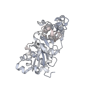 0729_6kn8_F_v1-1
Structure of human cardiac thin filament in the calcium bound state