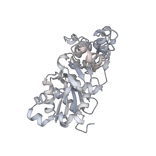 0729_6kn8_F_v1-2
Structure of human cardiac thin filament in the calcium bound state