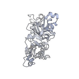 0729_6kn8_G_v1-1
Structure of human cardiac thin filament in the calcium bound state