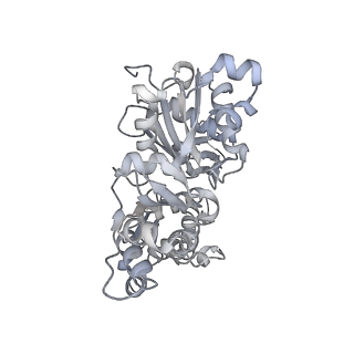 0729_6kn8_G_v1-2
Structure of human cardiac thin filament in the calcium bound state