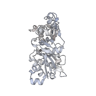 0729_6kn8_H_v1-1
Structure of human cardiac thin filament in the calcium bound state