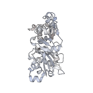 0729_6kn8_H_v1-2
Structure of human cardiac thin filament in the calcium bound state