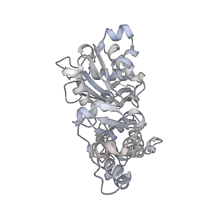 0729_6kn8_I_v1-1
Structure of human cardiac thin filament in the calcium bound state
