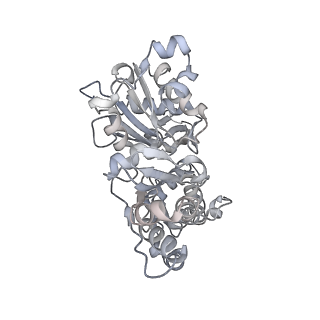 0729_6kn8_I_v1-2
Structure of human cardiac thin filament in the calcium bound state