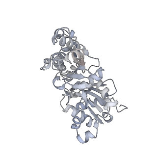 0729_6kn8_J_v1-1
Structure of human cardiac thin filament in the calcium bound state