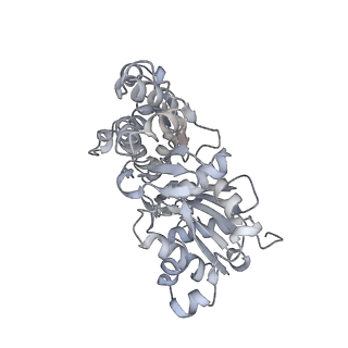 0729_6kn8_J_v1-2
Structure of human cardiac thin filament in the calcium bound state