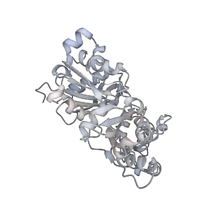 0729_6kn8_K_v1-1
Structure of human cardiac thin filament in the calcium bound state