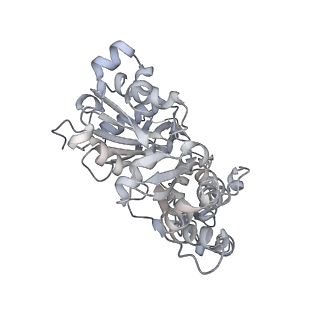 0729_6kn8_K_v1-2
Structure of human cardiac thin filament in the calcium bound state