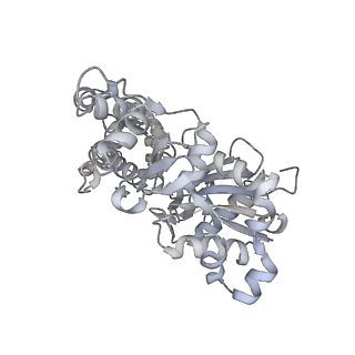 0729_6kn8_L_v1-1
Structure of human cardiac thin filament in the calcium bound state