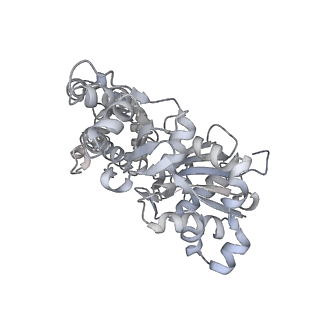 0729_6kn8_L_v1-2
Structure of human cardiac thin filament in the calcium bound state