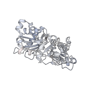 0729_6kn8_M_v1-2
Structure of human cardiac thin filament in the calcium bound state