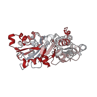 0729_6kn8_O_v1-1
Structure of human cardiac thin filament in the calcium bound state