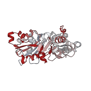 0729_6kn8_O_v1-2
Structure of human cardiac thin filament in the calcium bound state