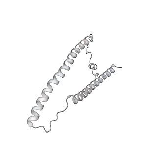 0729_6kn8_U_v1-2
Structure of human cardiac thin filament in the calcium bound state