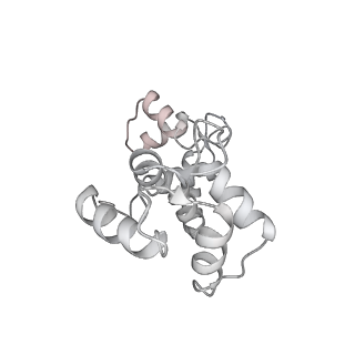 0729_6kn8_V_v1-1
Structure of human cardiac thin filament in the calcium bound state