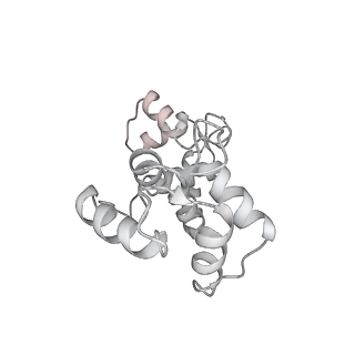 0729_6kn8_V_v1-2
Structure of human cardiac thin filament in the calcium bound state