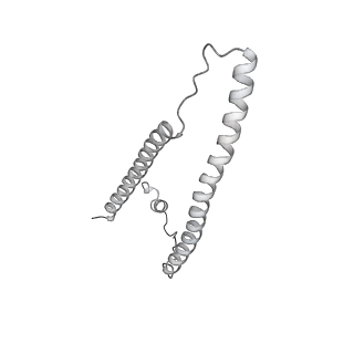 0729_6kn8_b_v1-2
Structure of human cardiac thin filament in the calcium bound state