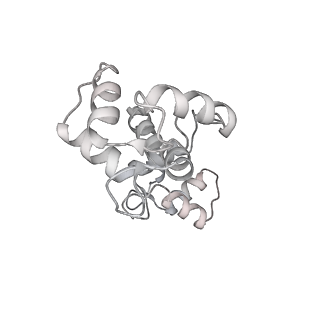 0729_6kn8_c_v1-1
Structure of human cardiac thin filament in the calcium bound state