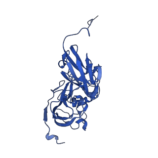 0730_6knf_A_v1-1
CryoEM map and model of Nitrite Reductase at pH 6.2