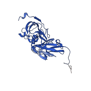 0730_6knf_B_v1-1
CryoEM map and model of Nitrite Reductase at pH 6.2