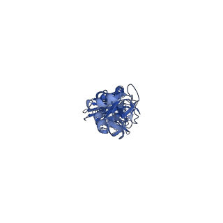 22937_7kna_B_v1-2
Localized reconstruction of the H1 A/Michigan/45/2015 ectodomain displayed at the surface of I53_dn5 nanoparticle