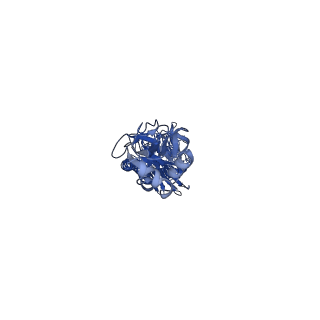 22937_7kna_C_v1-2
Localized reconstruction of the H1 A/Michigan/45/2015 ectodomain displayed at the surface of I53_dn5 nanoparticle