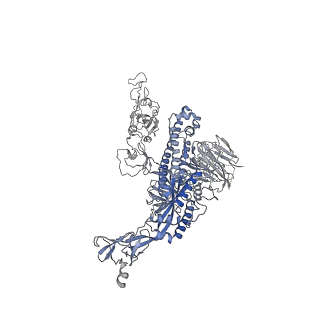 22941_7knb_B_v1-4
Cryo-EM structure of single ACE2-bound SARS-CoV-2 trimer spike at pH 7.4