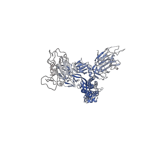 22949_7knh_A_v1-3
Cryo-EM Structure of Double ACE2-Bound SARS-CoV-2 Trimer Spike at pH 5.5