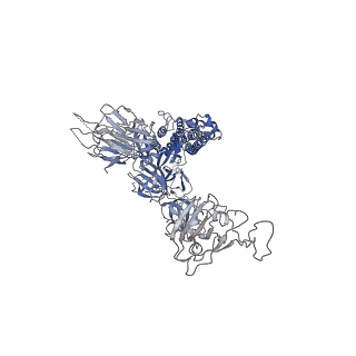 22949_7knh_B_v1-3
Cryo-EM Structure of Double ACE2-Bound SARS-CoV-2 Trimer Spike at pH 5.5