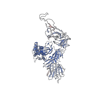 22949_7knh_C_v1-3
Cryo-EM Structure of Double ACE2-Bound SARS-CoV-2 Trimer Spike at pH 5.5