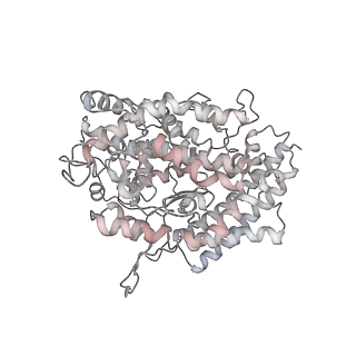 22949_7knh_D_v1-3
Cryo-EM Structure of Double ACE2-Bound SARS-CoV-2 Trimer Spike at pH 5.5