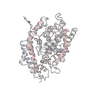 22949_7knh_E_v1-3
Cryo-EM Structure of Double ACE2-Bound SARS-CoV-2 Trimer Spike at pH 5.5
