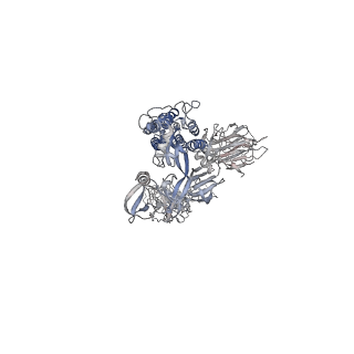 22950_7kni_A_v1-3
Cryo-EM structure of Triple ACE2-bound SARS-CoV-2 Trimer Spike at pH 5.5