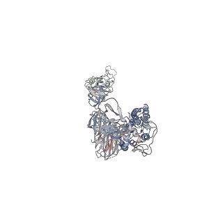 22950_7kni_B_v1-3
Cryo-EM structure of Triple ACE2-bound SARS-CoV-2 Trimer Spike at pH 5.5