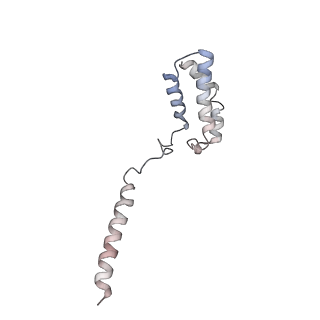 22962_7knt_E_v1-2
CryoEM structure of the apo-CGRP receptor in a detergent micelle